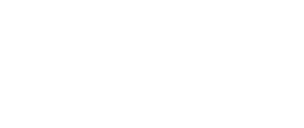 logo wit